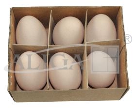 Easter eggs WPJ-8927 plastic, 6 cm. chiken, pack. contains 6 pcs.