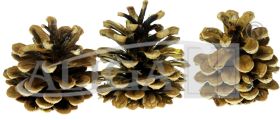 Pine cones SZYSZ-10pack.20pcs.